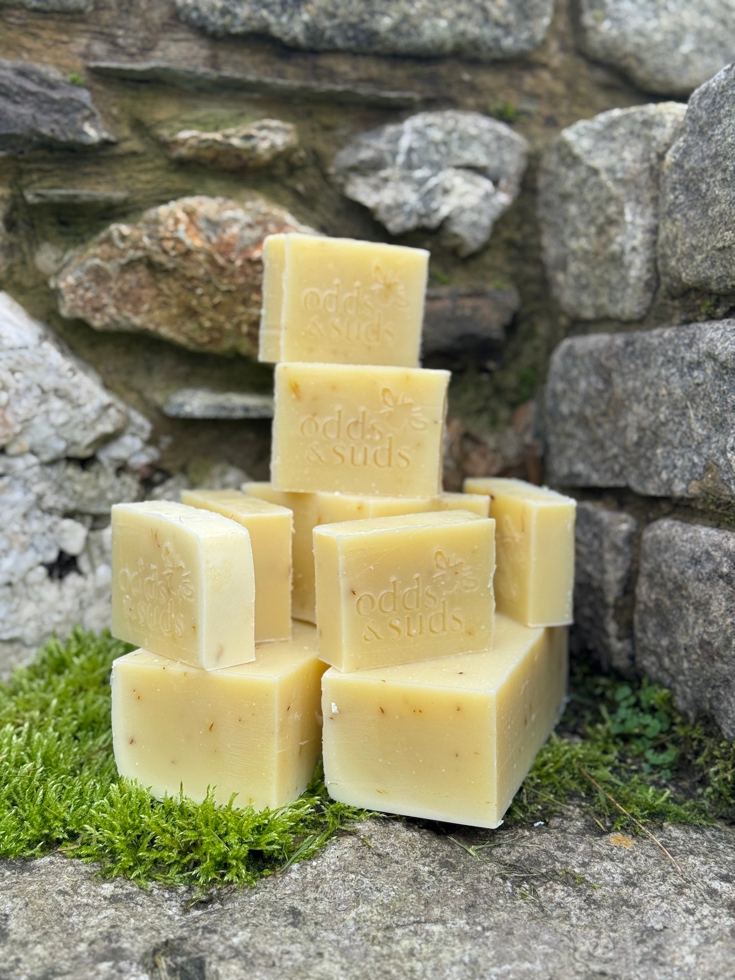 Geranium and Marigold